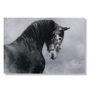 Andiamo, Sono Pronto