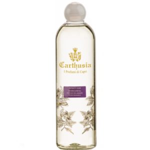 Infinity Oud – Diffusore per Ambienti Ricarica